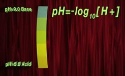 Logarithms,